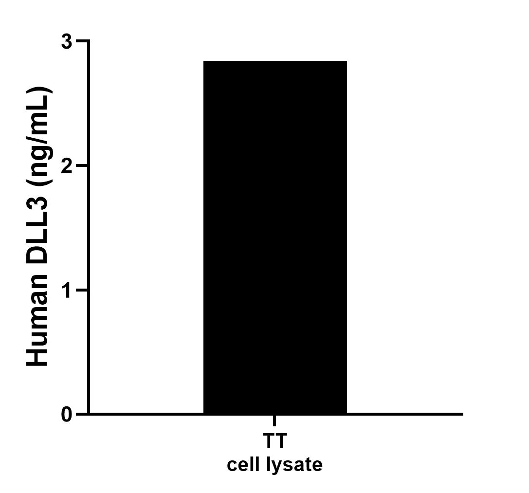 TT cell lysate was measured. The human DLL3 concentration of detected samples was determined to be 2.84 ng/mL (based on a 2.9 mg/mL extract load).